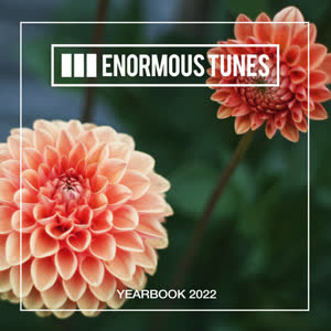 Enormous Tunes - The Yearbook 2022 - cover.png
