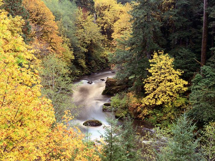 krzysiek16257 - Autumn Color, Coquille River, Oregon - 1600x1200.jpg