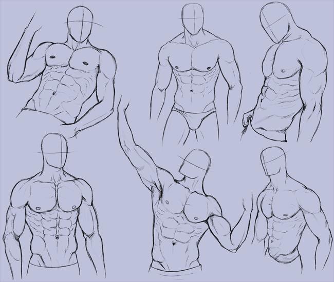 Body Reference - man_anatomy_practice_2_by_kingmaria-d6gsgpl.png