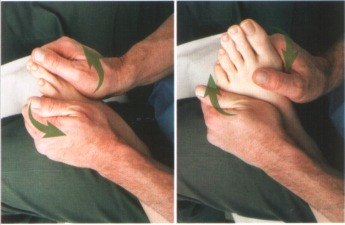Anatomia masażu - 10-50.JPG
